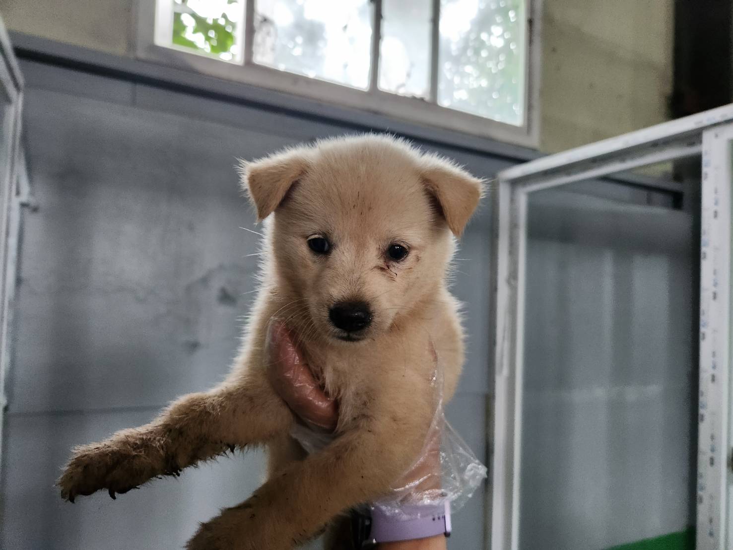 한국야생동물보호협회_441383202300430